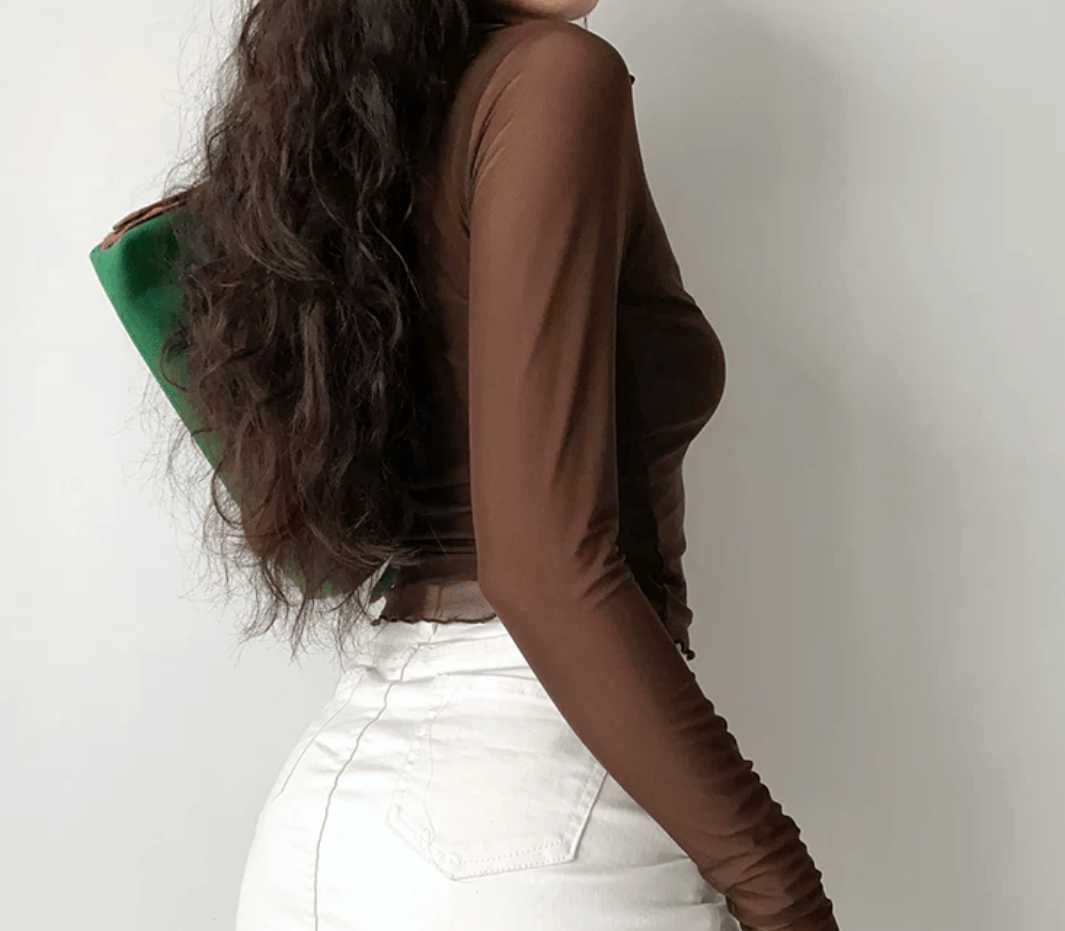 Side back view brown sheer mesh long sleeve crop shirt, polo collar button front wavy hem slim elegant vintage blouse