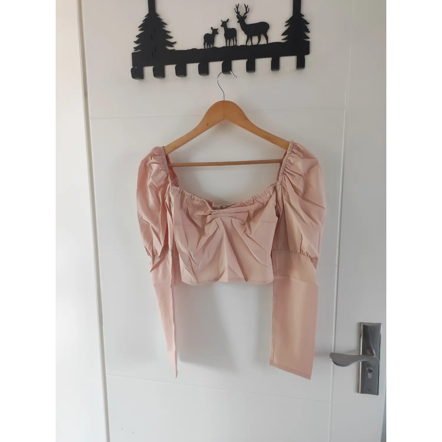 hanger-front-view | Front hanging shot blush pink puff long sleeve ruched bust crop top