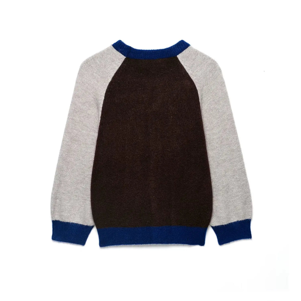 Back flat lay of colorblock raglan sleeve crew neck sweater