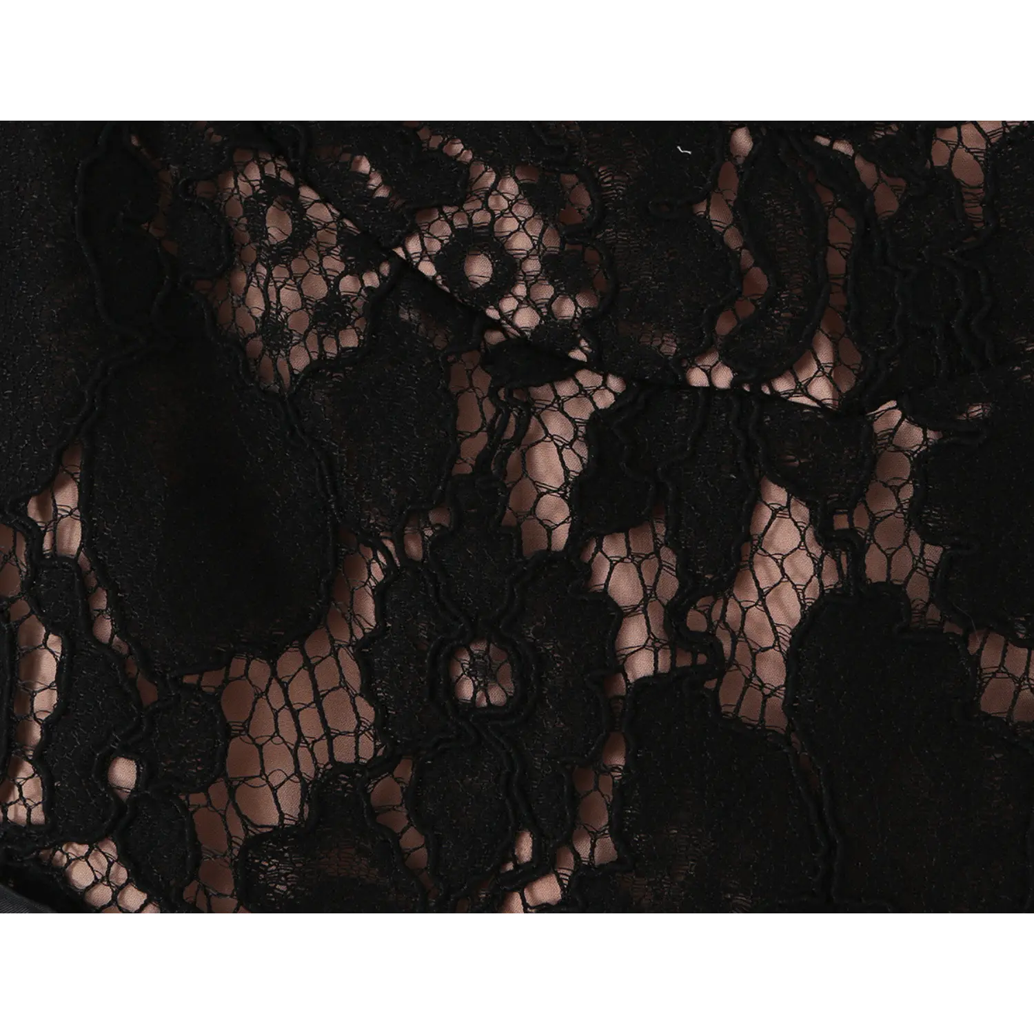 Extreme close-up of black floral scalloped lace fabric, semi-sheer hollow texture with nude lining visible beneath intricate flower embroidery