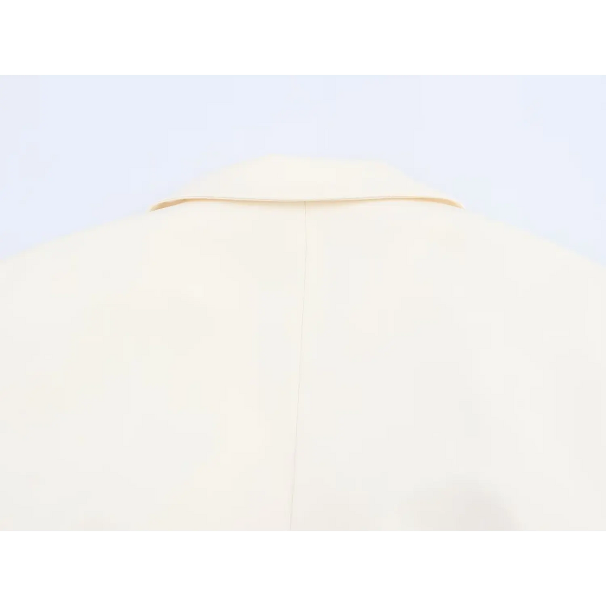 Close-up of back neckline and center seam