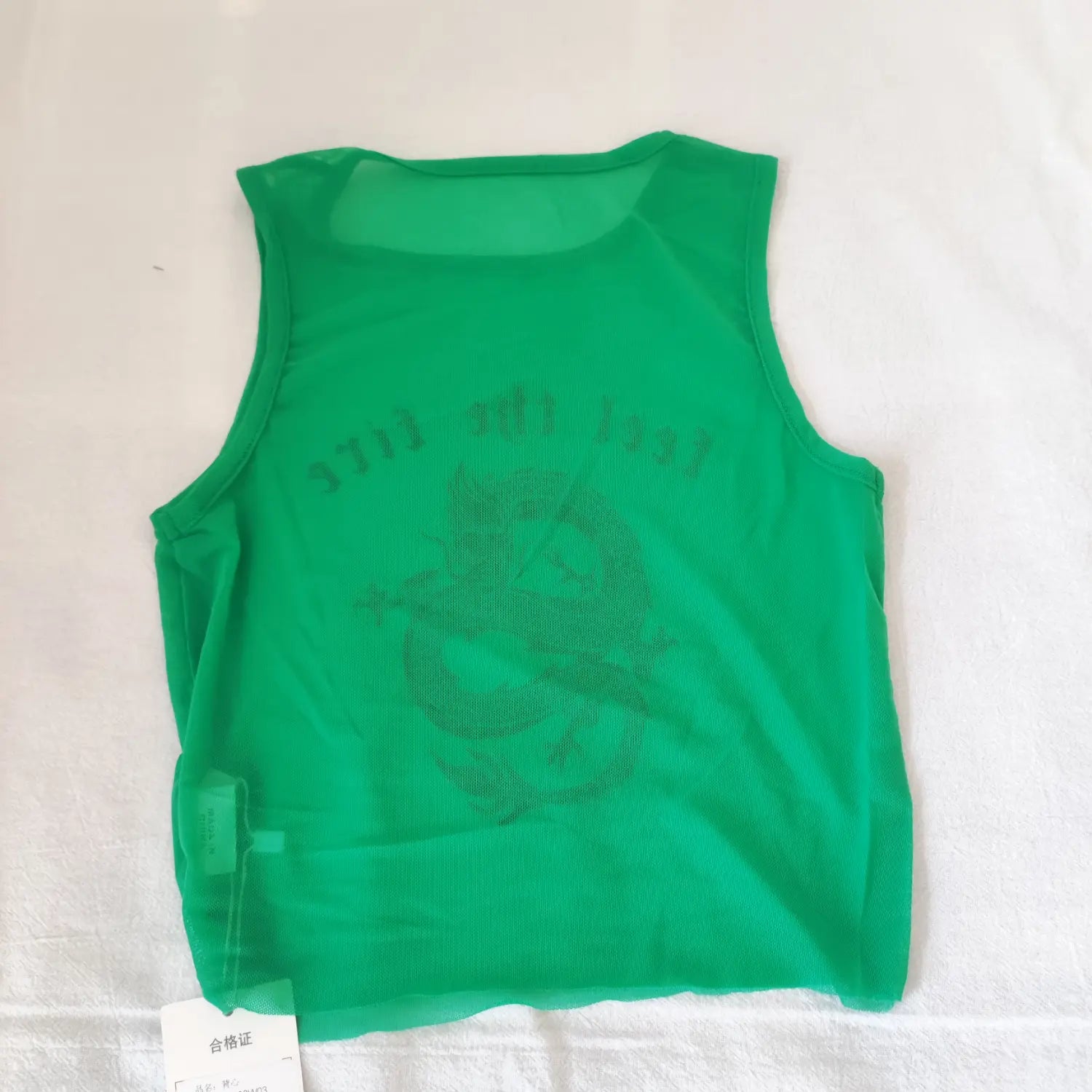 Flat lay back view green sheer mesh cropped tank top with reverse dragon graphic and text print