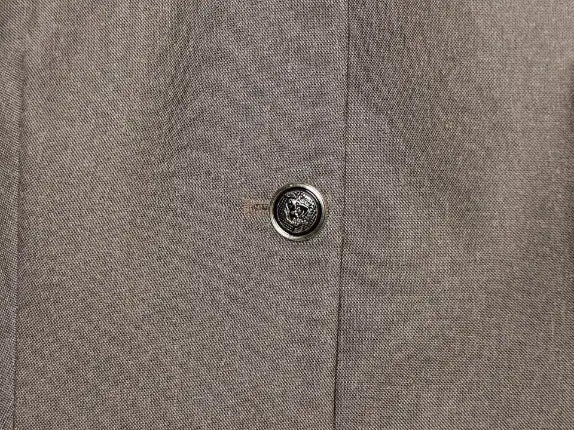 Macro close-up of silver-tone crest button