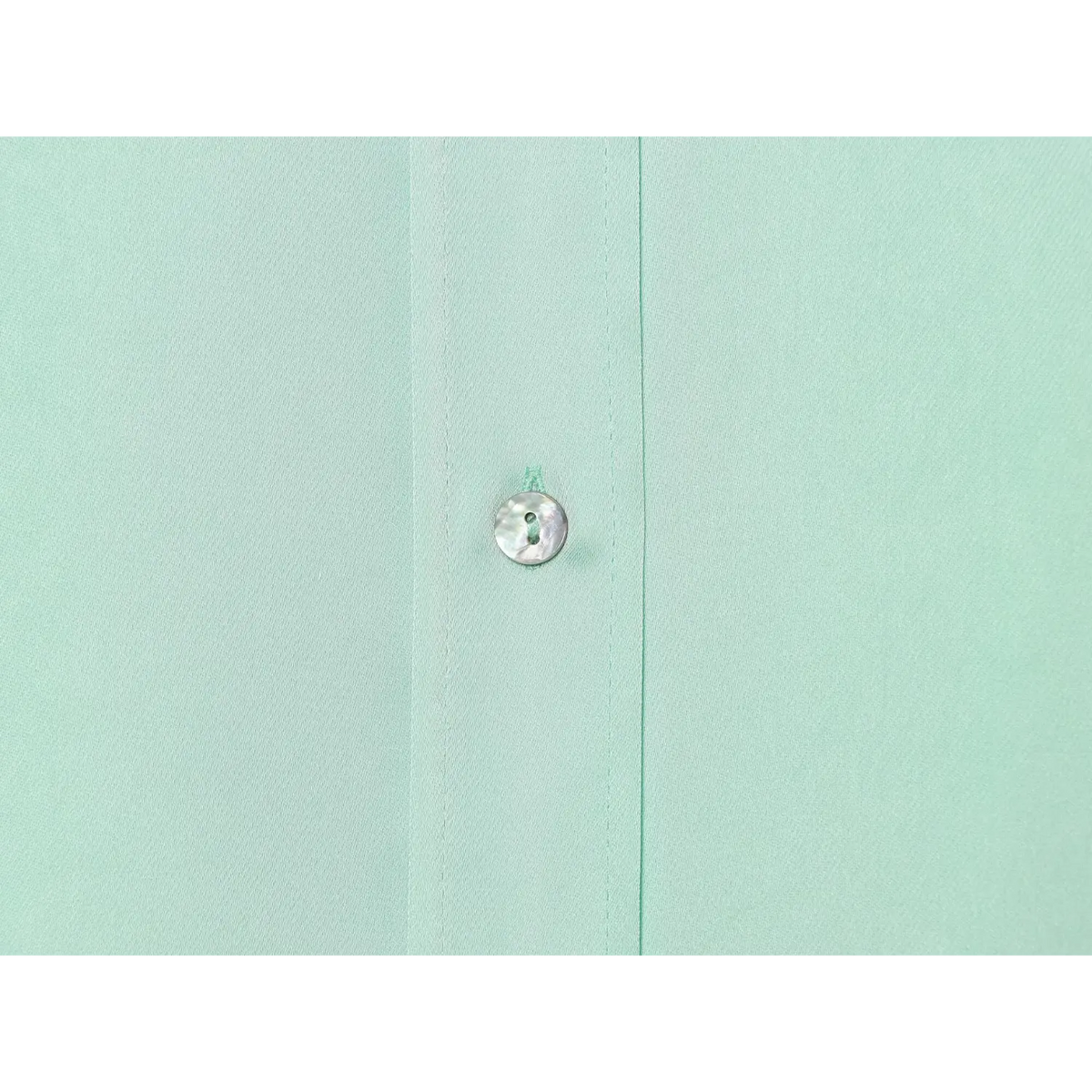Close-up of mother of pearl button
