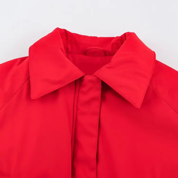 Close-up of pointed collar and front placket