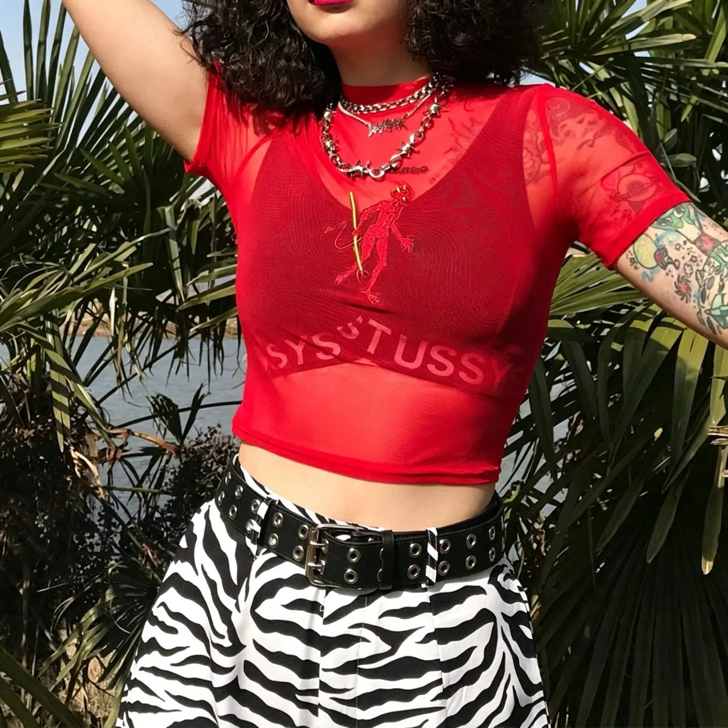 Outdoor model front view, red sheer mesh EL DIABLO embroidered crop top streetwear outfit