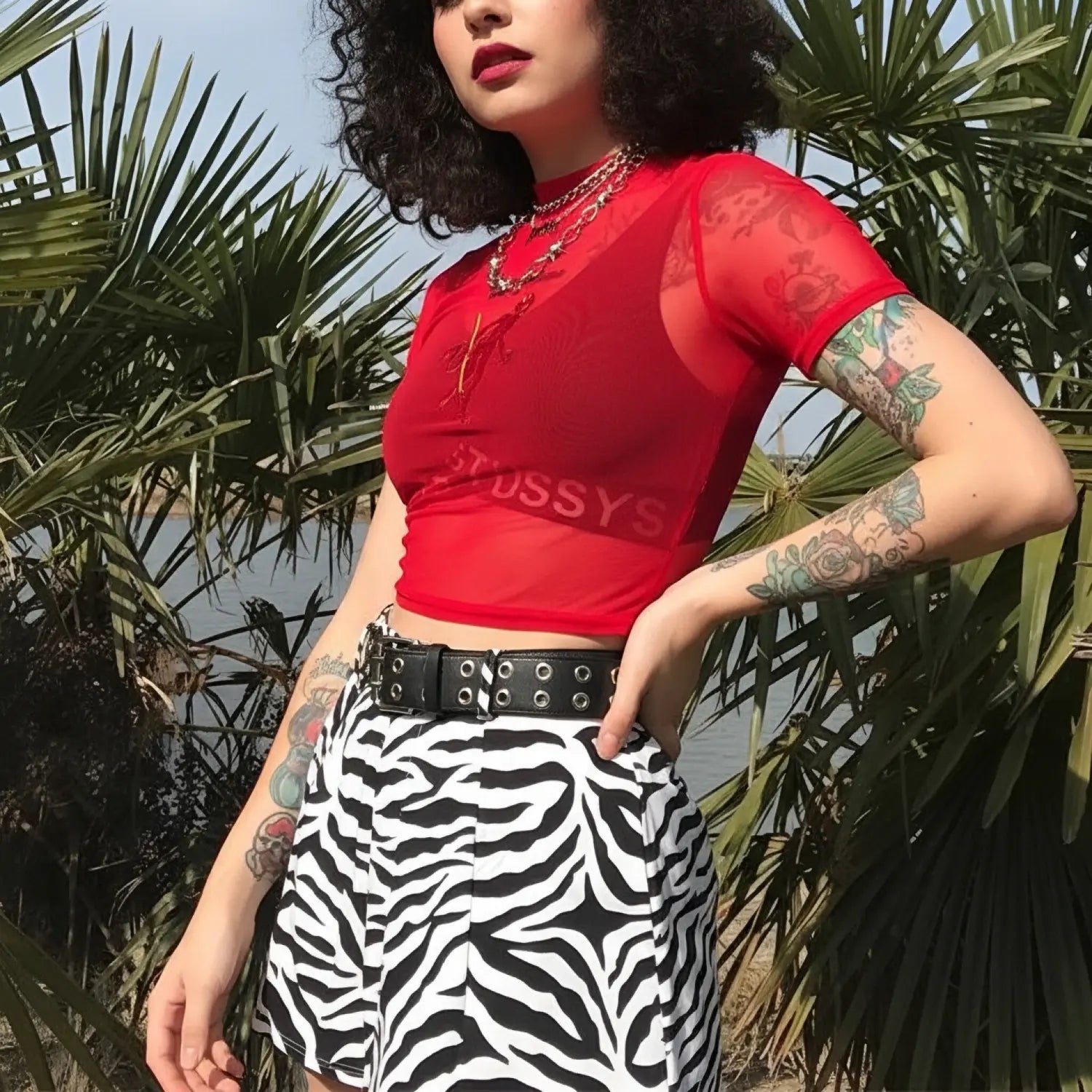 Outdoor model side pose, red sheer mesh devil embroidery cropped short sleeve top goth look
